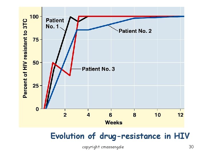 Evidence for Evolution – Evolution Observed Evolution of drug-resistance in HIV copyright cmassengale 30