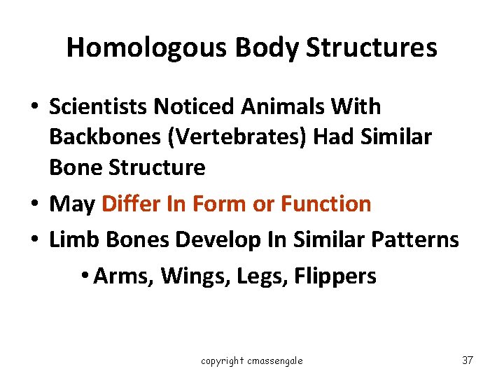 Homologous Body Structures • Scientists Noticed Animals With Backbones (Vertebrates) Had Similar Bone Structure