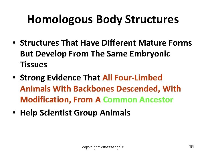 Homologous Body Structures • Structures That Have Different Mature Forms But Develop From The