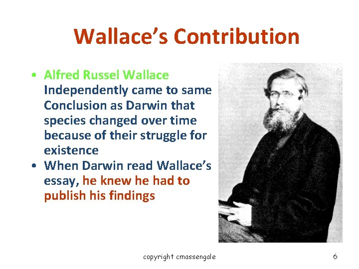 Wallace’s Contribution • Alfred Russel Wallace Independently came to same Conclusion as Darwin that