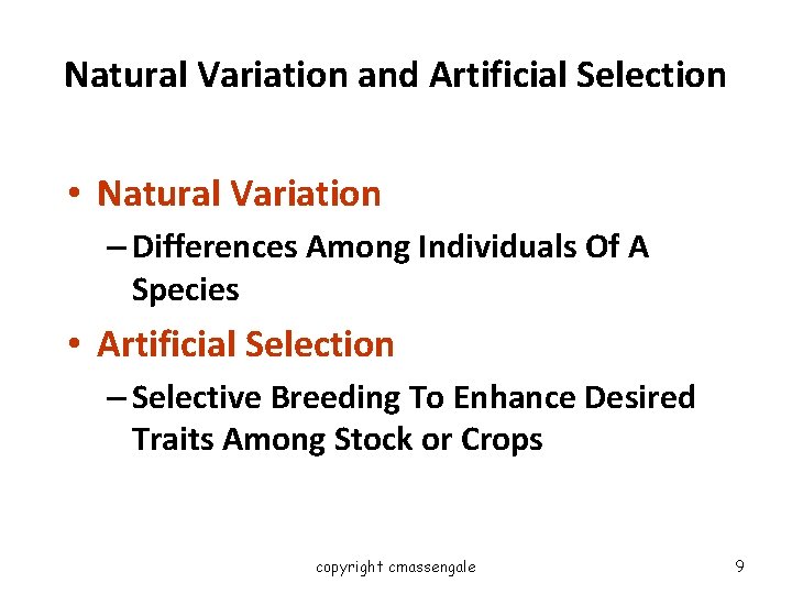 Natural Variation and Artificial Selection • Natural Variation – Differences Among Individuals Of A