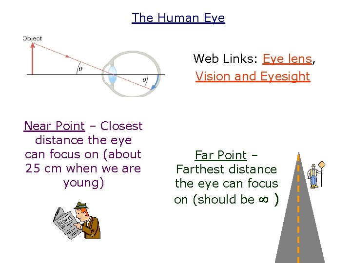 The Human Eye Web Links: Eye lens, Vision and Eyesight Near Point – Closest