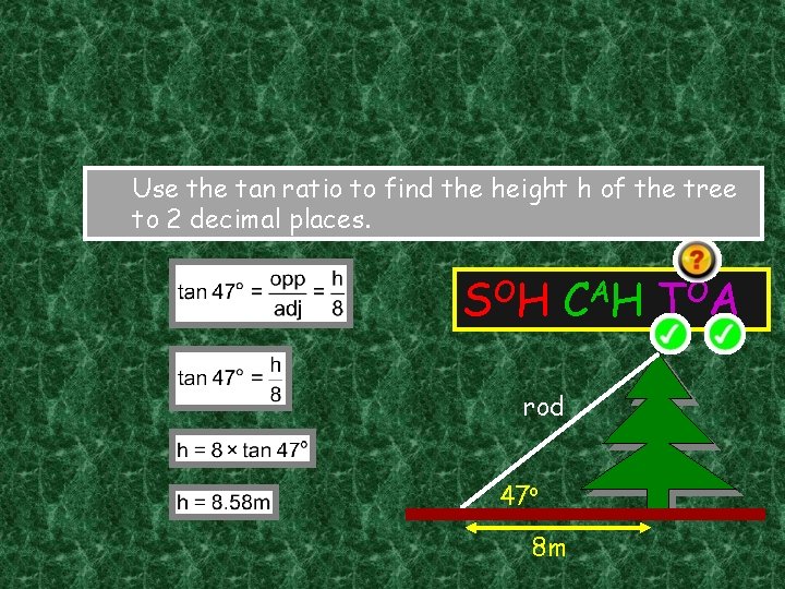Use the tan ratio to find the height h of the tree to 2