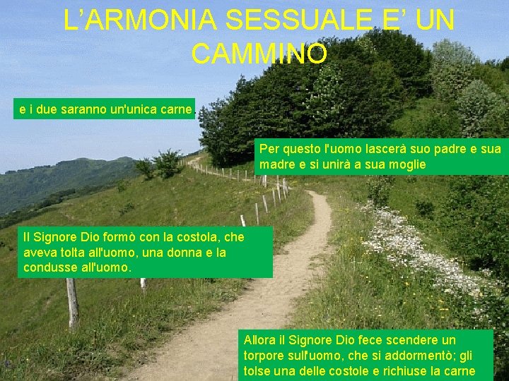 L’ARMONIA SESSUALE E’ UN CAMMINO e i due saranno un'unica carne. Per questo l'uomo L’ARMONIA SESSUALE E’ UN CAMMINO e i due saranno un'unica carne. Per questo l'uomo