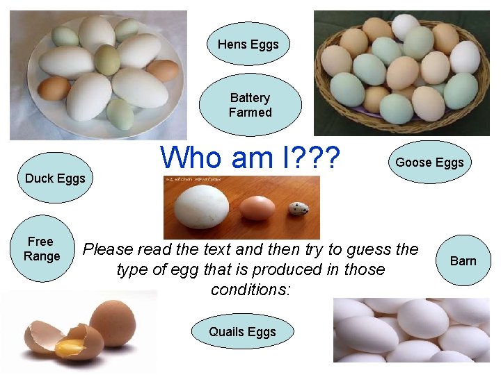 Hens Eggs Battery Farmed Duck Eggs Free Range Who am I? ? ? Goose