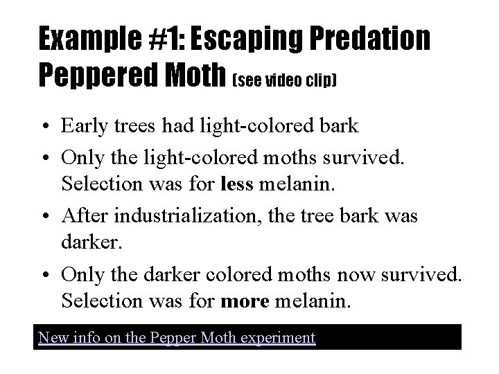 Example #1: Escaping Predation Peppered Moth (see video clip) • Early trees had light-colored