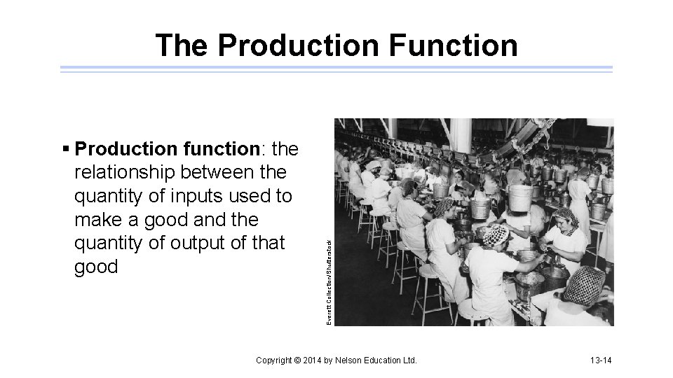 § Production function: the relationship between the quantity of inputs used to make a