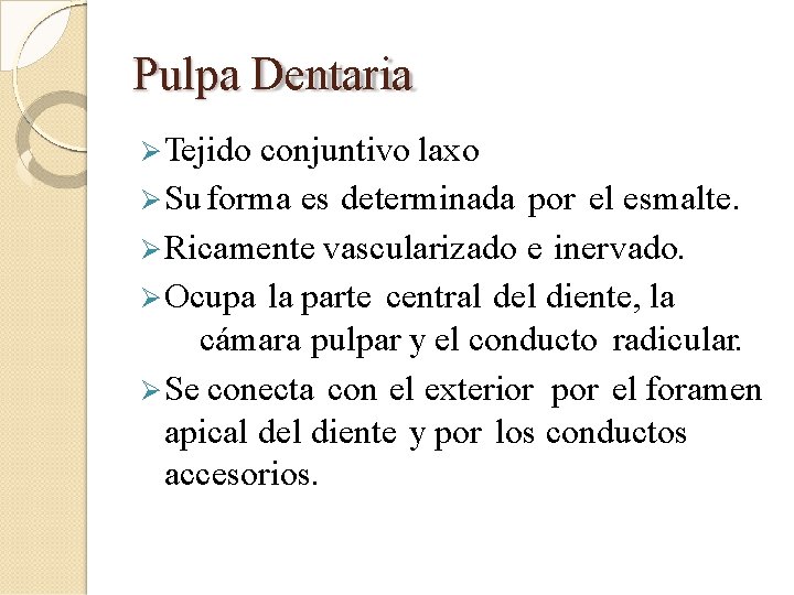 Pulpa Dentaria Tejido conjuntivo laxo Su forma es determinada por el esmalte. Ricamente vascularizado