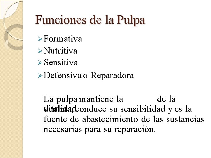 Funciones de la Pulpa Formativa Nutritiva Sensitiva Defensiva o Reparadora La pulpa mantiene la