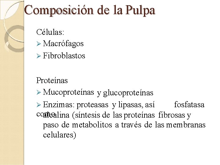 Composición de la Pulpa Células: Macrófagos Fibroblastos Proteínas Mucoproteínas y glucoproteínas Enzimas: proteasas y