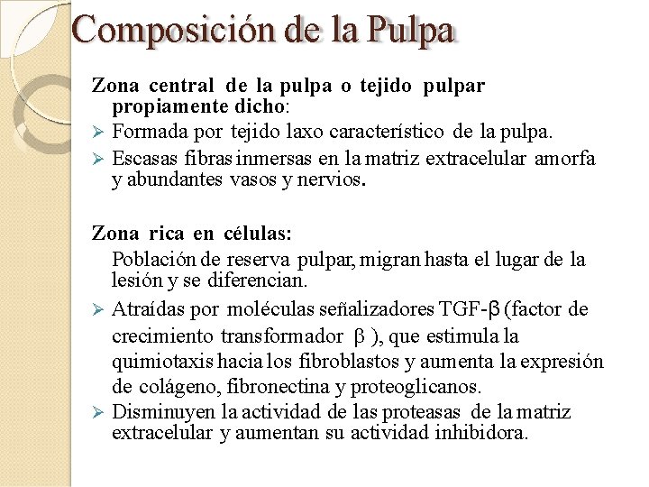 Composición de la Pulpa Zona central de la pulpa o tejido pulpar propiamente dicho: