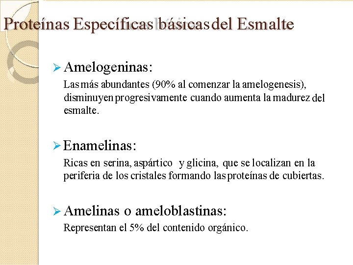 Proteínas Específicas básicasdel Esmalte Amelogeninas: Las más abundantes (90% al comenzar la amelogenesis), disminuyen