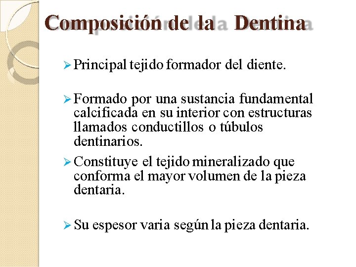 Composición de la Dentina Principal tejido formador del diente. Formado por una sustancia fundamental