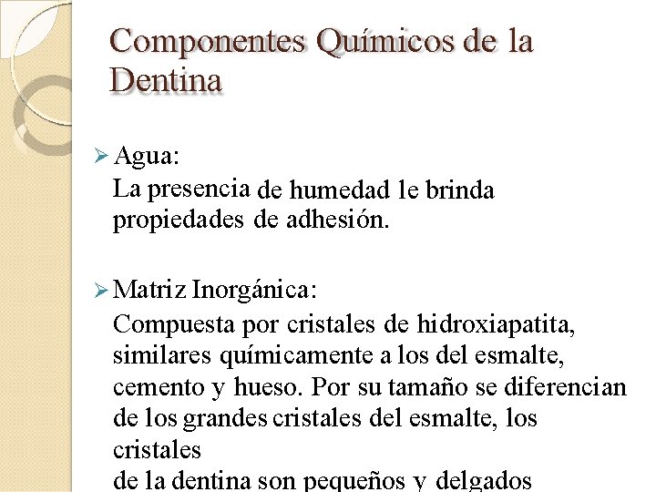 Componentes Químicos de la Dentina Agua: La presencia de humedad le brinda propiedades de