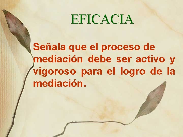 EFICACIA Señala que el proceso de mediación debe ser activo y vigoroso para el