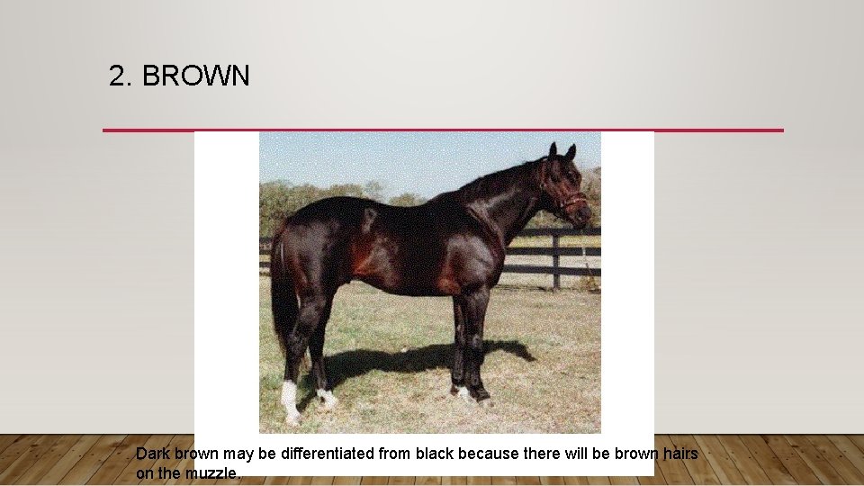 2. BROWN Dark brown may be differentiated from black because there will be brown