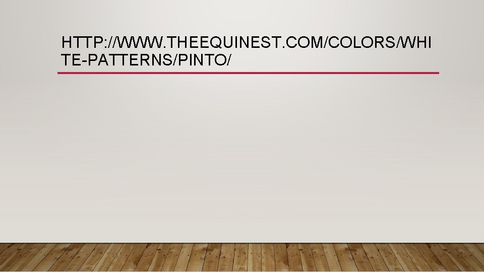 HTTP: //WWW. THEEQUINEST. COM/COLORS/WHI TE-PATTERNS/PINTO/ 