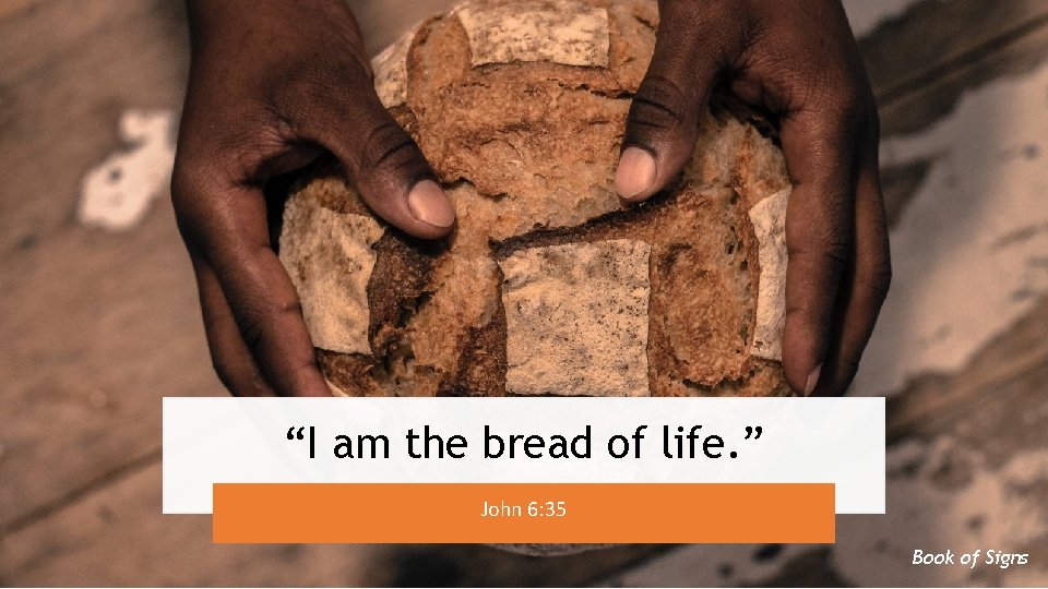 “I am the bread of life. ” John 6: 35 Book of Signs 