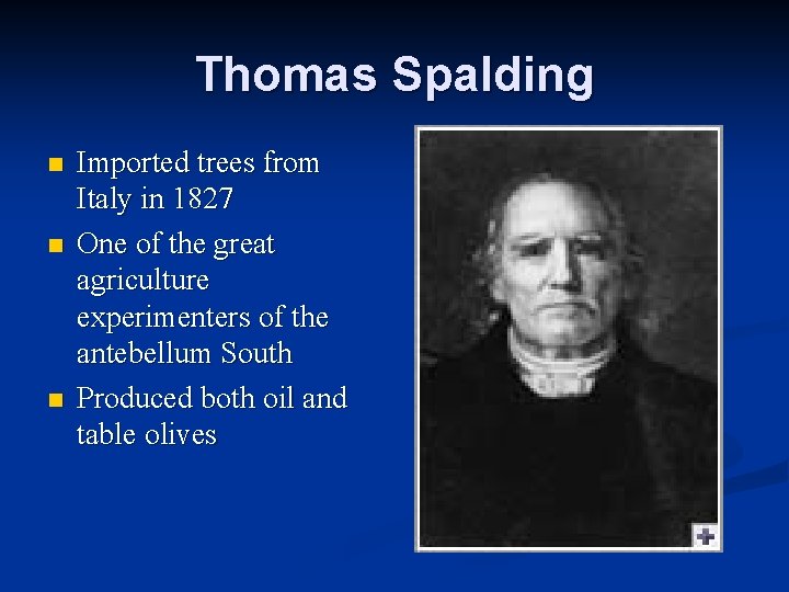 Thomas Spalding n n n Imported trees from Italy in 1827 One of the