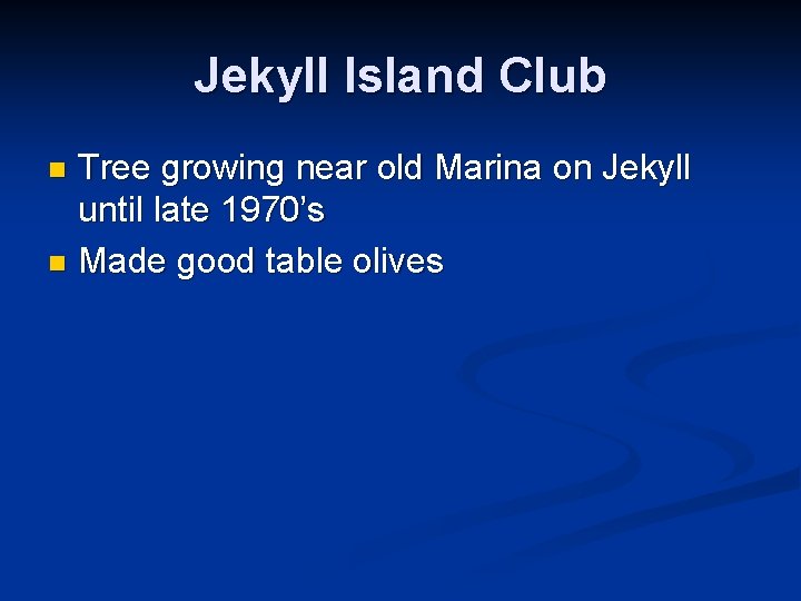 Jekyll Island Club Tree growing near old Marina on Jekyll until late 1970’s n