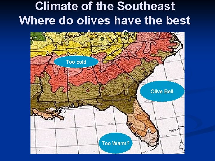 Climate of the Southeast Where do olives have the best chance? Too cold Olive