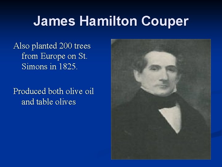 James Hamilton Couper Also planted 200 trees from Europe on St. Simons in 1825.