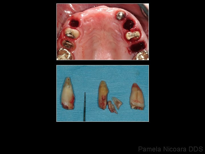 Pamela Nicoara DDS 
