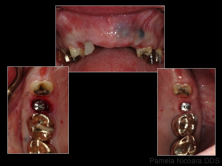 Pamela Nicoara DDS 