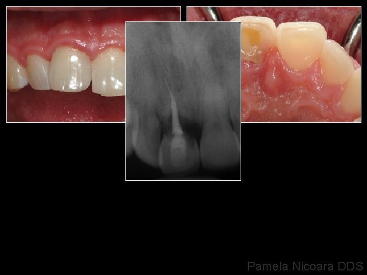 Pamela Nicoara DDS 