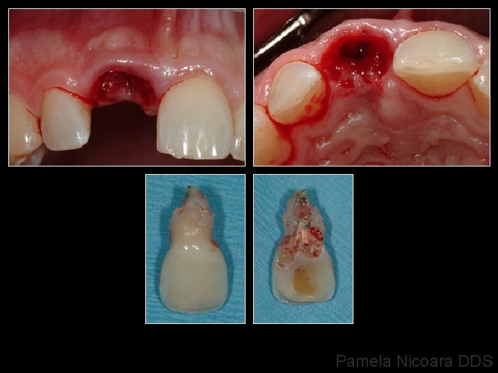 Pamela Nicoara DDS 