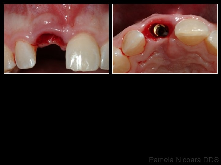 Pamela Nicoara DDS 