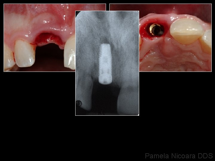 Pamela Nicoara DDS 