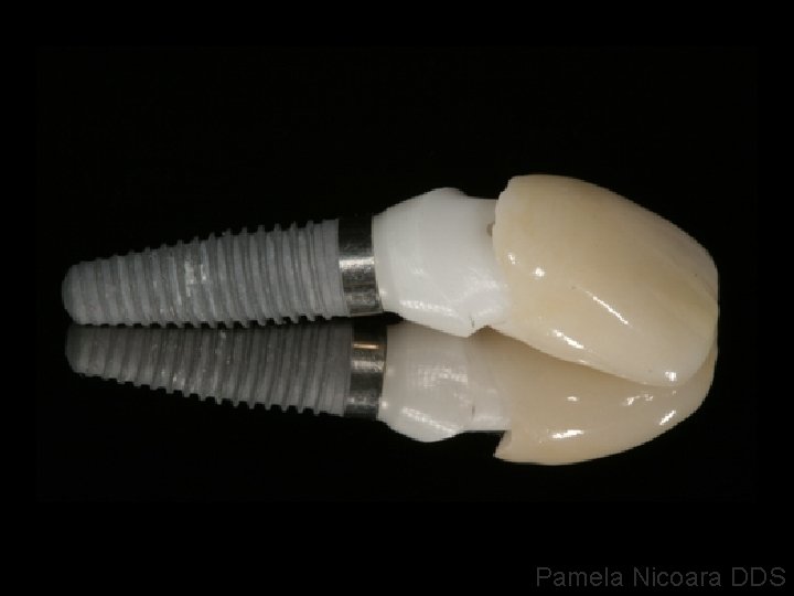 Pamela Nicoara DDS 
