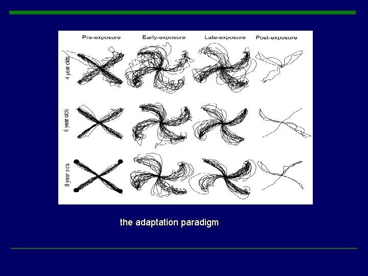 the adaptation paradigm the adaptation paradigm
