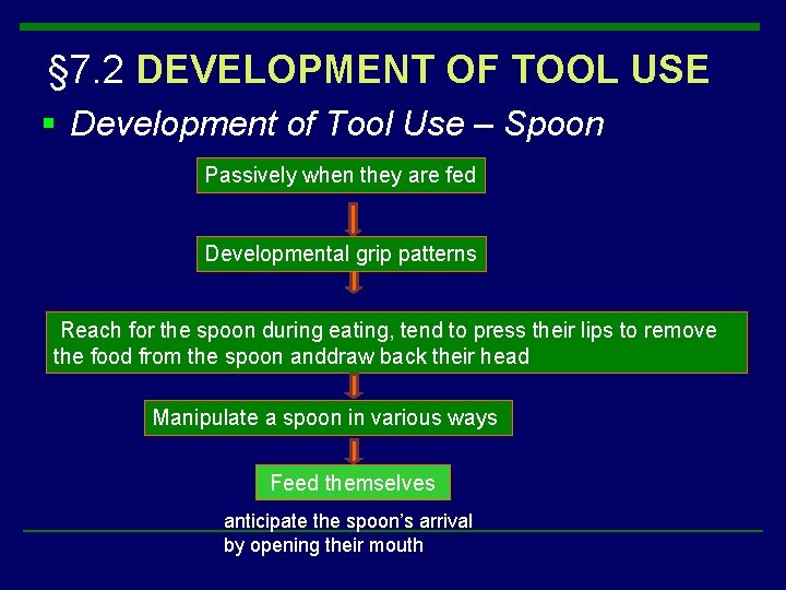 § 7. 2 DEVELOPMENT OF TOOL USE § Development of Tool Use – Spoon § 7. 2 DEVELOPMENT OF TOOL USE § Development of Tool Use – Spoon