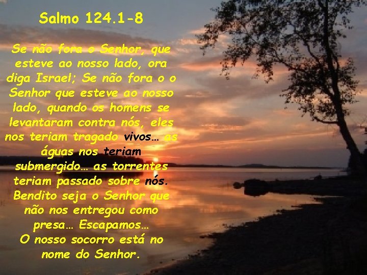 Salmo 124. 1 -8 Se não fora o Senhor, que esteve ao nosso lado,