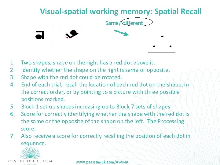 Visual-spatial working memory: Spatial Recall Same/ different 1. 2. 3. 4. 5. 6. 7.