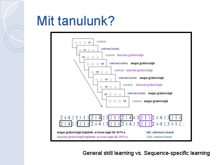 Mit tanulunk? General skill learning vs. Sequence-specific learning Mit tanulunk? General skill learning vs. Sequence-specific learning