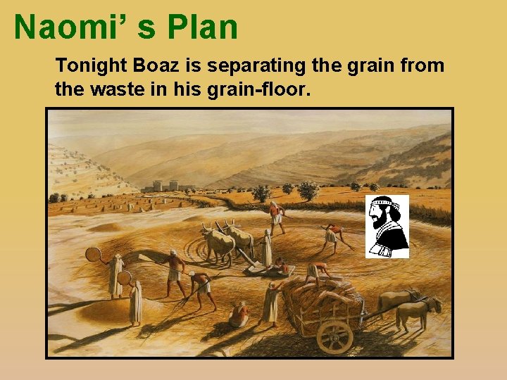  Naomi’ s Plan Tonight Boaz is separating the grain from the waste in