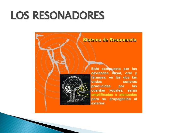 LOS RESONADORES 