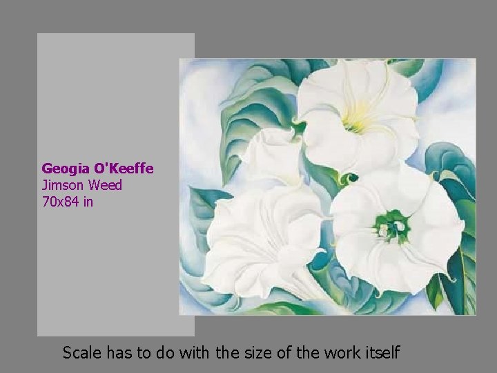 Geogia O'Keeffe Jimson Weed 70 x 84 in Scale has to do with the