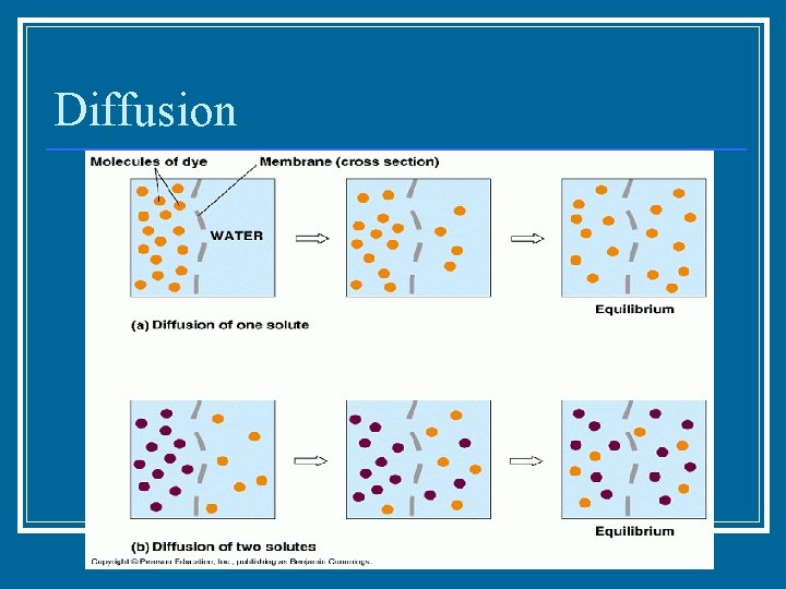 Diffusion 