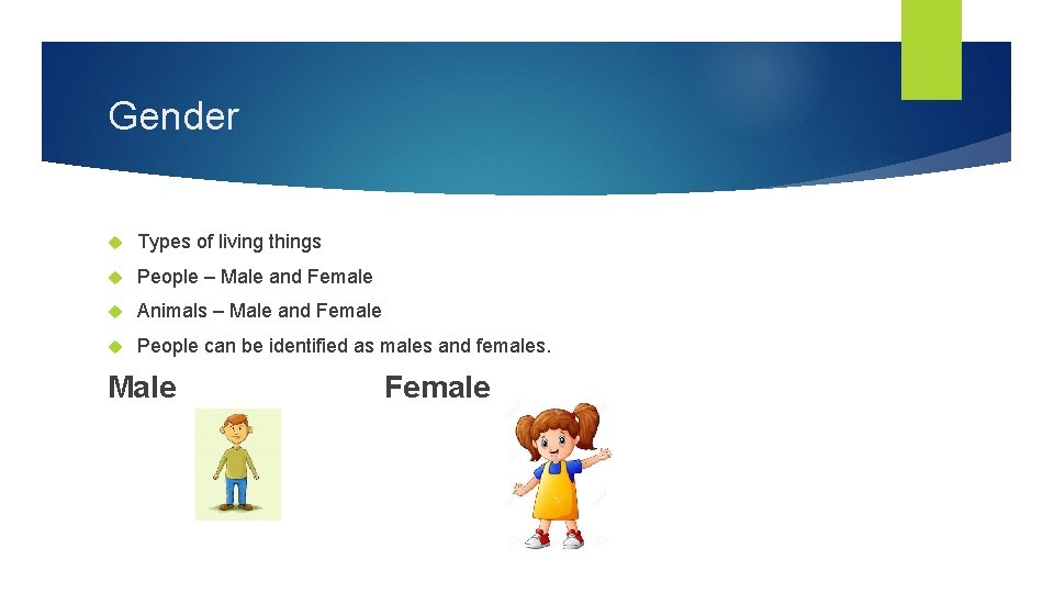 Gender Types of living things People – Male and Female Animals – Male and