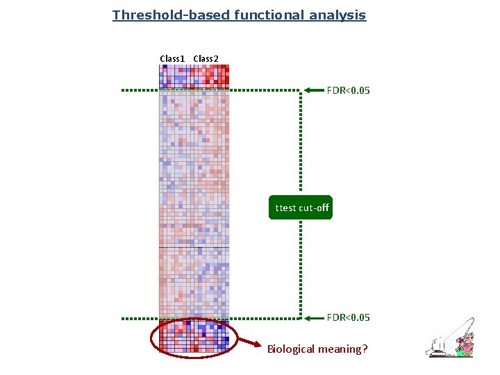 Threshold-based functional analysis Class 1 Class 2 FDR<0. 05 ttest cut-off FDR<0. 05 Biological