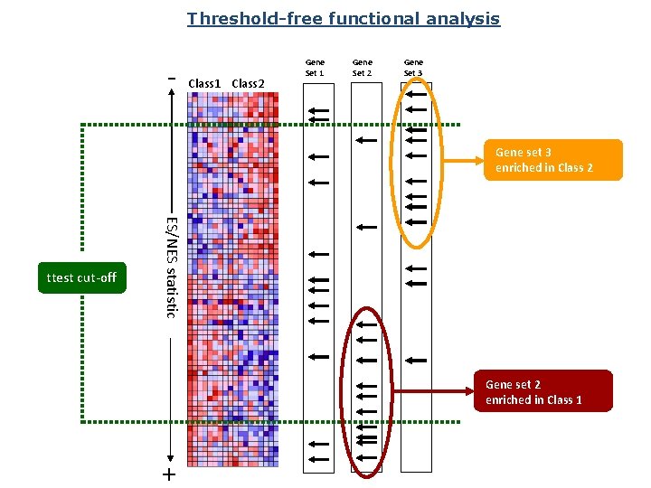 Threshold-free functional analysis - Class 1 Class 2 Gene Set 1 Gene Set 2