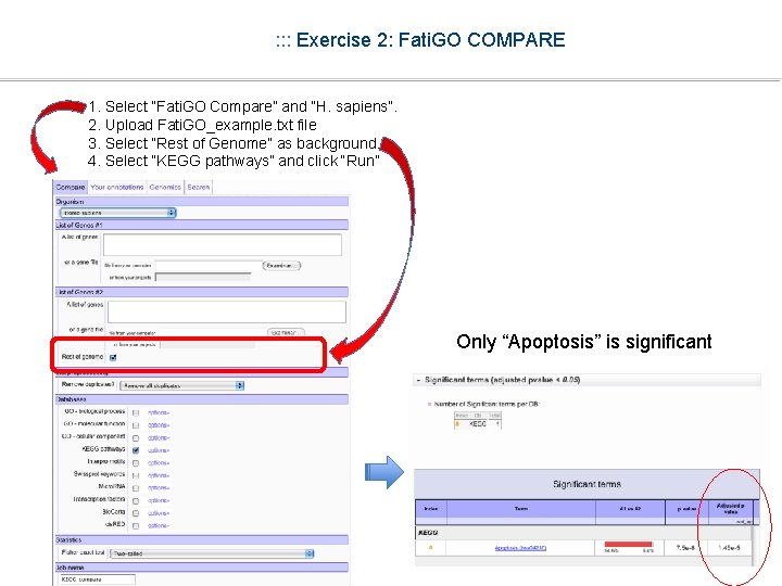 : : : Exercise 2: Fati. GO COMPARE 1. Select “Fati. GO Compare” and