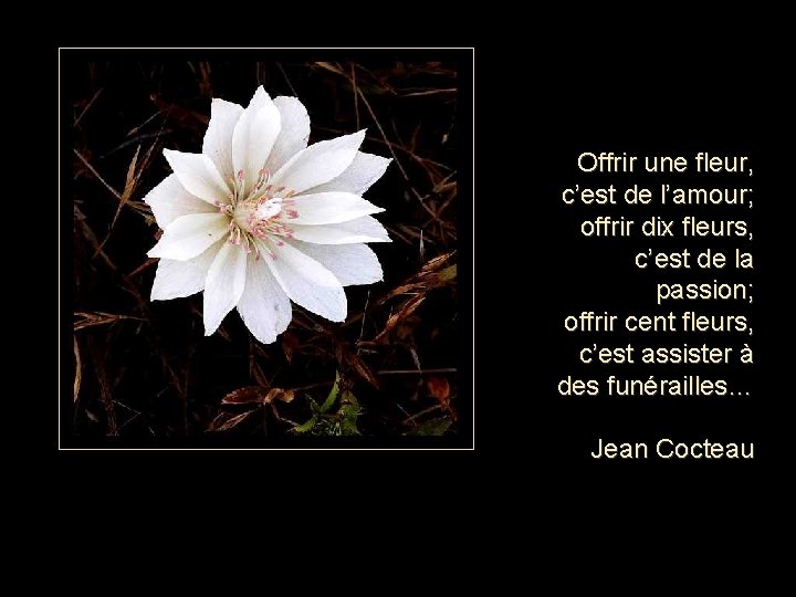 Offrir une fleur, c’est de l’amour; offrir dix fleurs, c’est de la passion; offrir