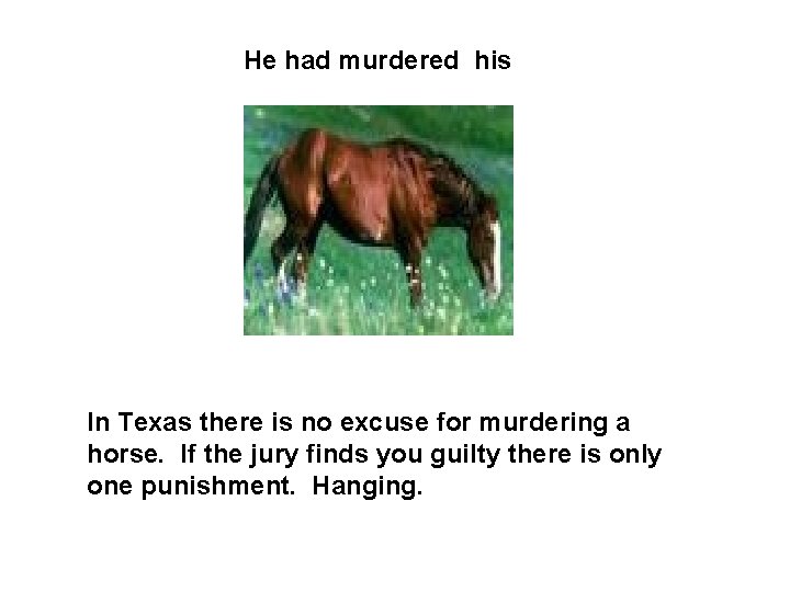He had murdered his In Texas there is no excuse for murdering a horse.