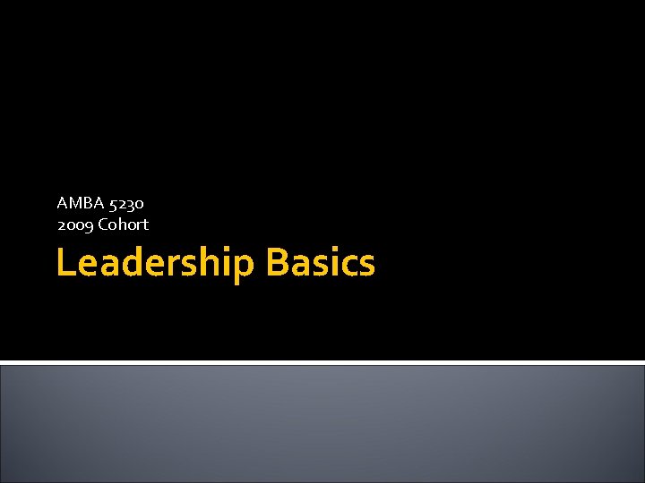 AMBA 5230 2009 Cohort Leadership Basics 