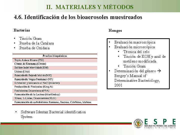 II. MATERIALES Y MÉTODOS 4. 6. Identificación de los bioaerosoles muestreados Bacterias Hongos •